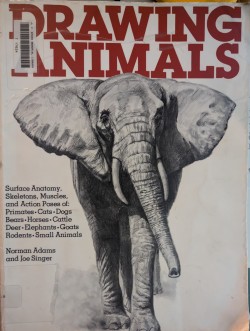 A softcover book entitled Drawing Animals. The font is dark red, and below it there is a drawing of an elephant looking straight out. The authors are Norman Adams and Joe Singer. To the left of the elephant, it says Surface Anatomy, Skeletons, Muscles, and Action Poses of: Primates, Cats, Dogs, Bears, Horses, Cattle, Deer, Elephants, Goats, Rodents, Small Animals. There is a library sticker in the top left corner that appears to serve as an ID tag